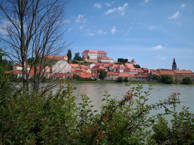 batch_ptuj (2).jpg